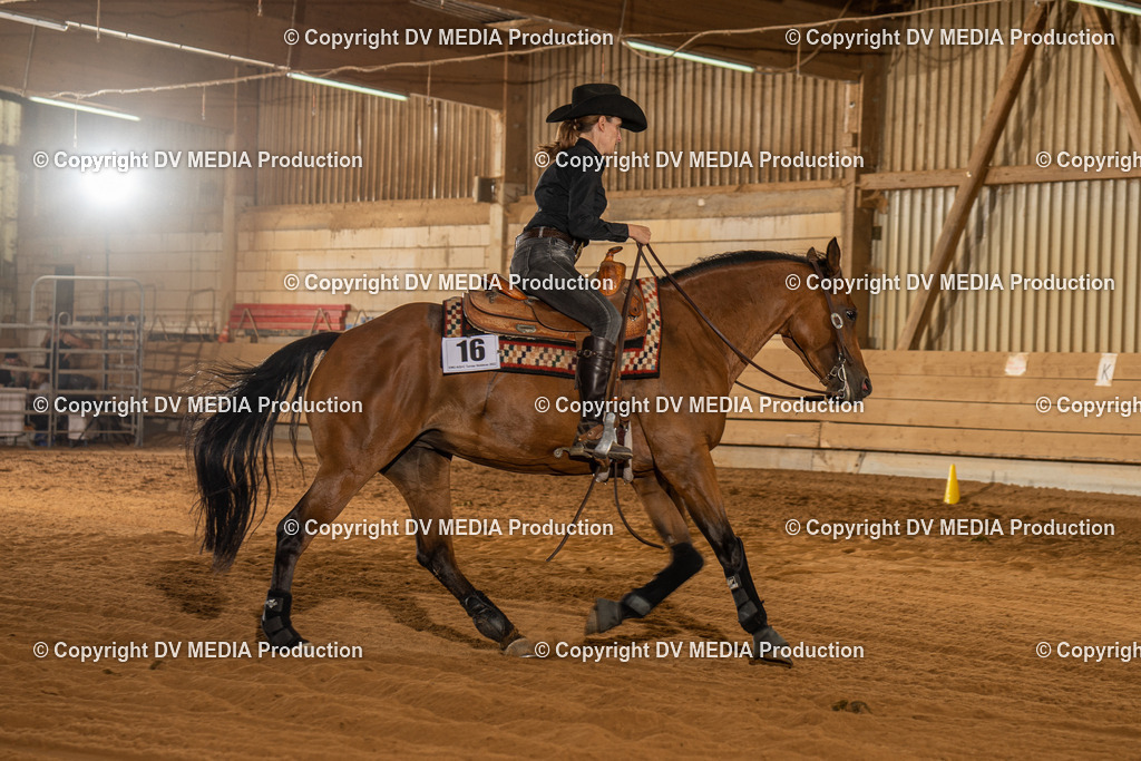 NID02020 | dv-media-shop - Realisiert mit Pictrs.com