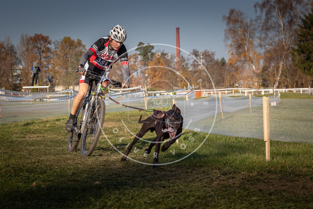 CaniXpix_0L8A6714 | Hundefotografie, Tierfotograf, Pfotenfotografie, Fotoshooting Hund, Hunde Portrait, Hundesport, Hundeportraits, Heideshooting, Hunde, Sportfotograf, Hundefotograf, Turnierhundsport, THS,  - Realisiert mit Pictrs.com