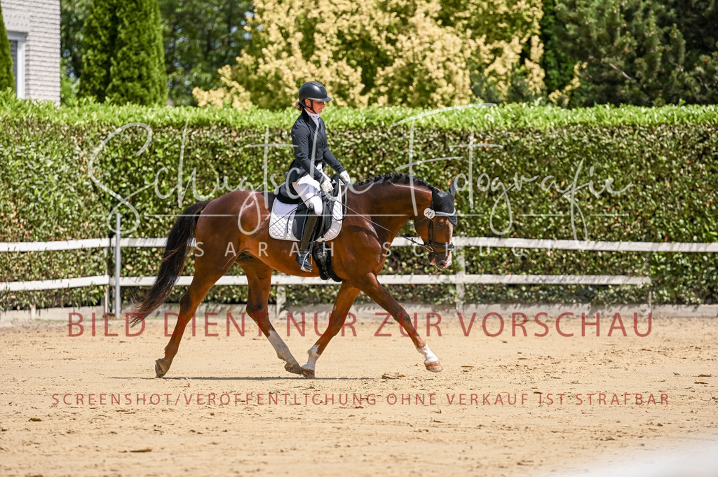 Schugtsche-Aluta25-48.Reitpferfdeprf.-302 | Schugtsche Fotografie - Realisiert mit Pictrs.com