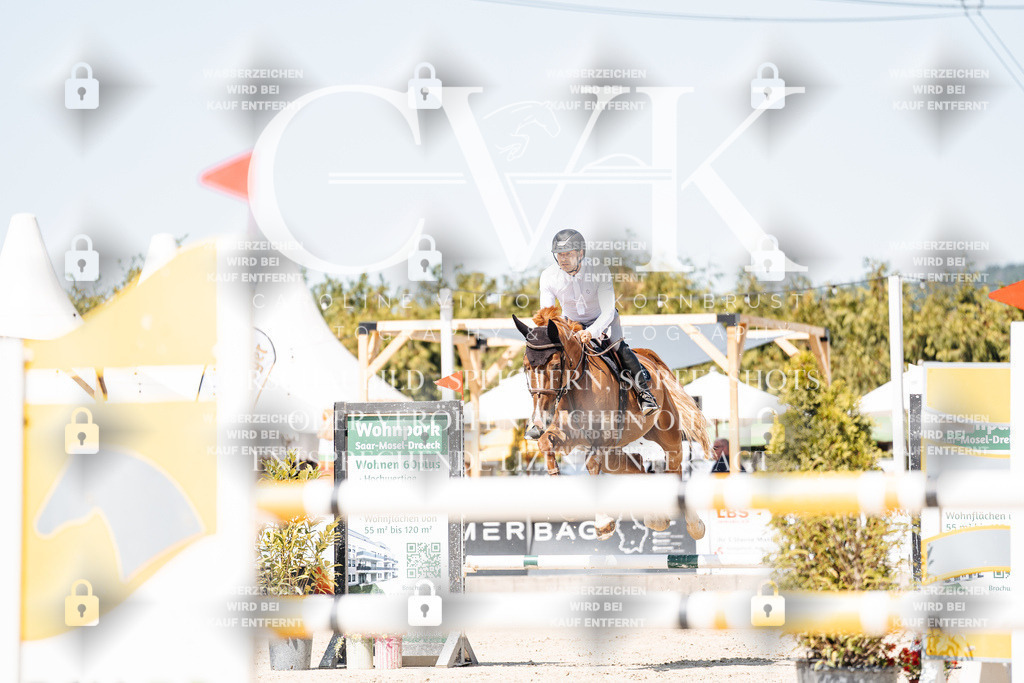 CK909530 | Turnierfotografie Pferdefotografie Trier Rheinland-Pfalz Pferdesport Reitsport Tierfotografie Sportfotografie Pferdevideo Pferdevideografie Equestrianvideography equestrianphotography  - Realisiert mit Pictrs.com