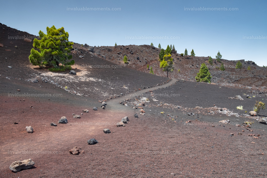 DSCF3938 | invaluablemoments.com - Realisiert mit Pictrs.com