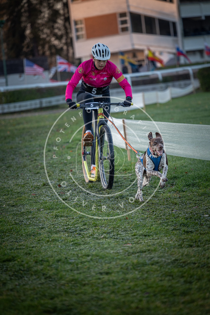 CaniXpix_0L8A0924 | Hundefotografie, Tierfotograf, Pfotenfotografie, Fotoshooting Hund, Hunde Portrait, Hundesport, Hundeportraits, Heideshooting, Hunde, Sportfotograf, Hundefotograf, Turnierhundsport, THS,  - Realisiert mit Pictrs.com