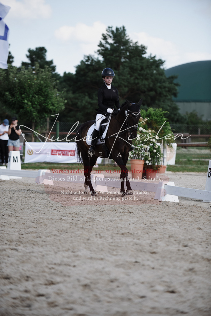 DSC_9974 | Pferde- und Turnierfotografie in Westsachsen. Pferdeportraits, Auftragszeichnungen und intuitive Kunst.