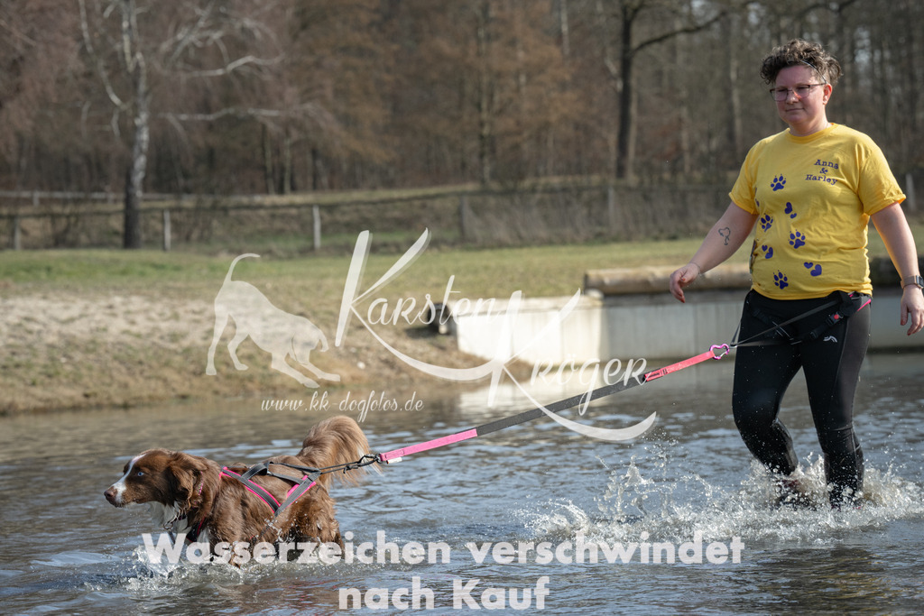 1234_ZZ90703 | kk-dogfotos