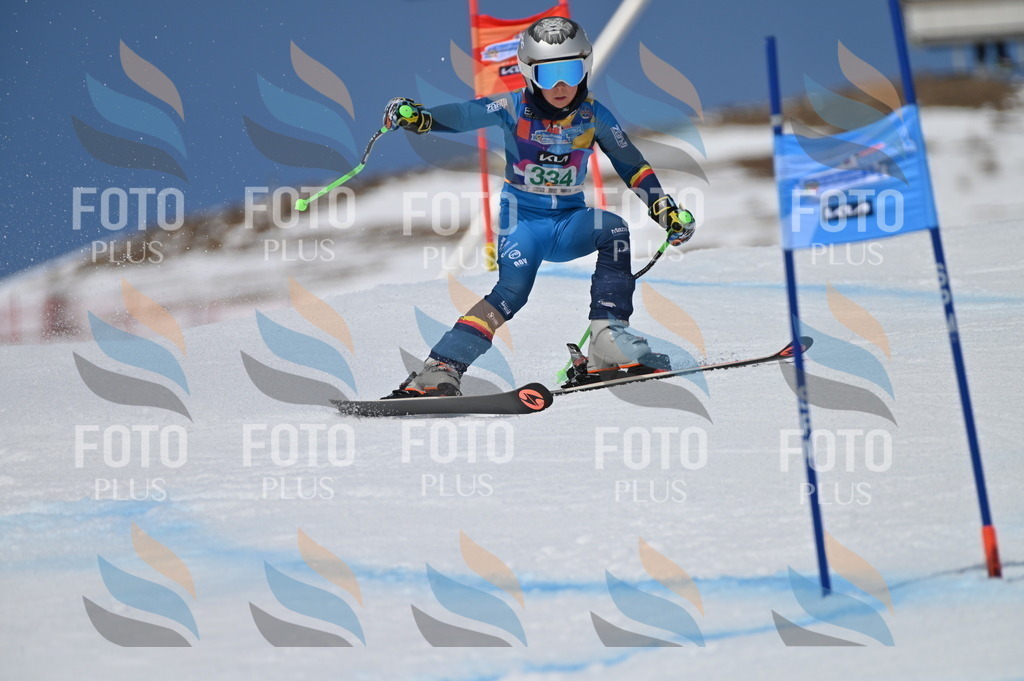 BGV_6611 | holidayphoto