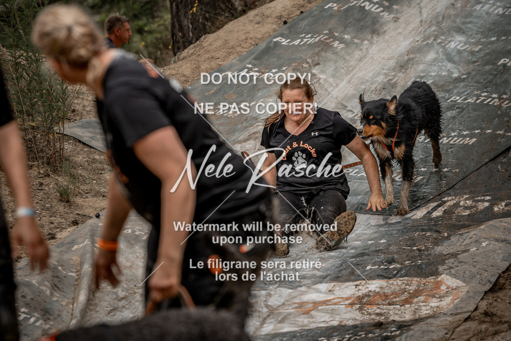 nelerasche_sa1100-1200_431 | nelerasche
