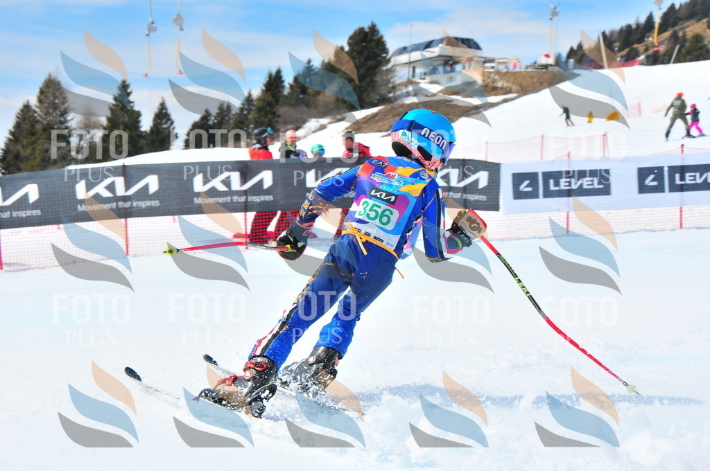 DSC_3201 | holidayphoto