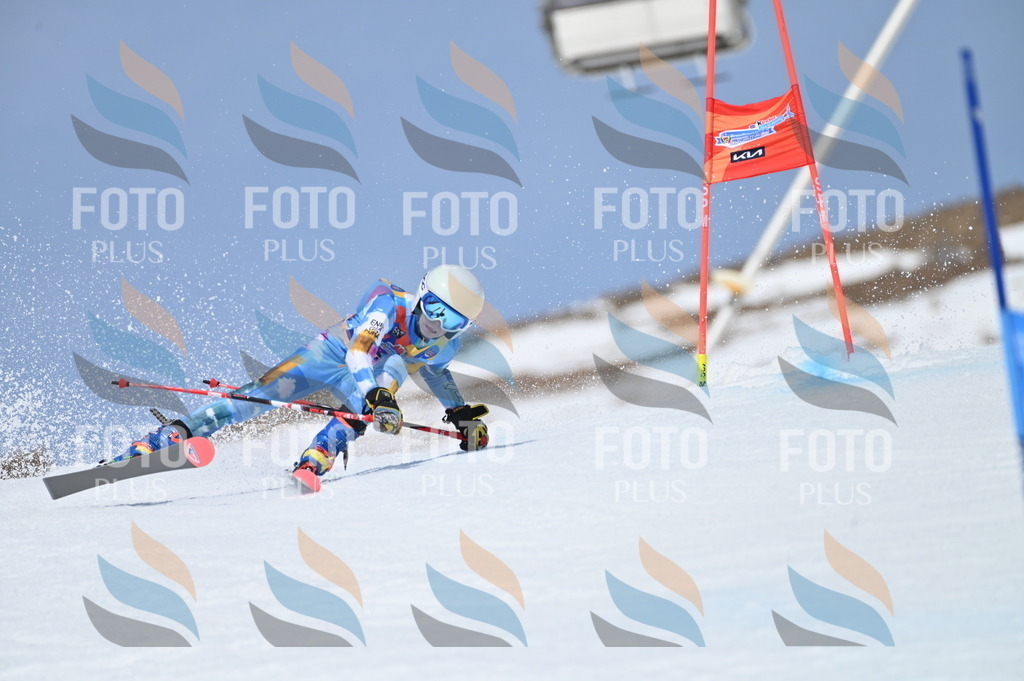 BGV_2959 | holidayphoto