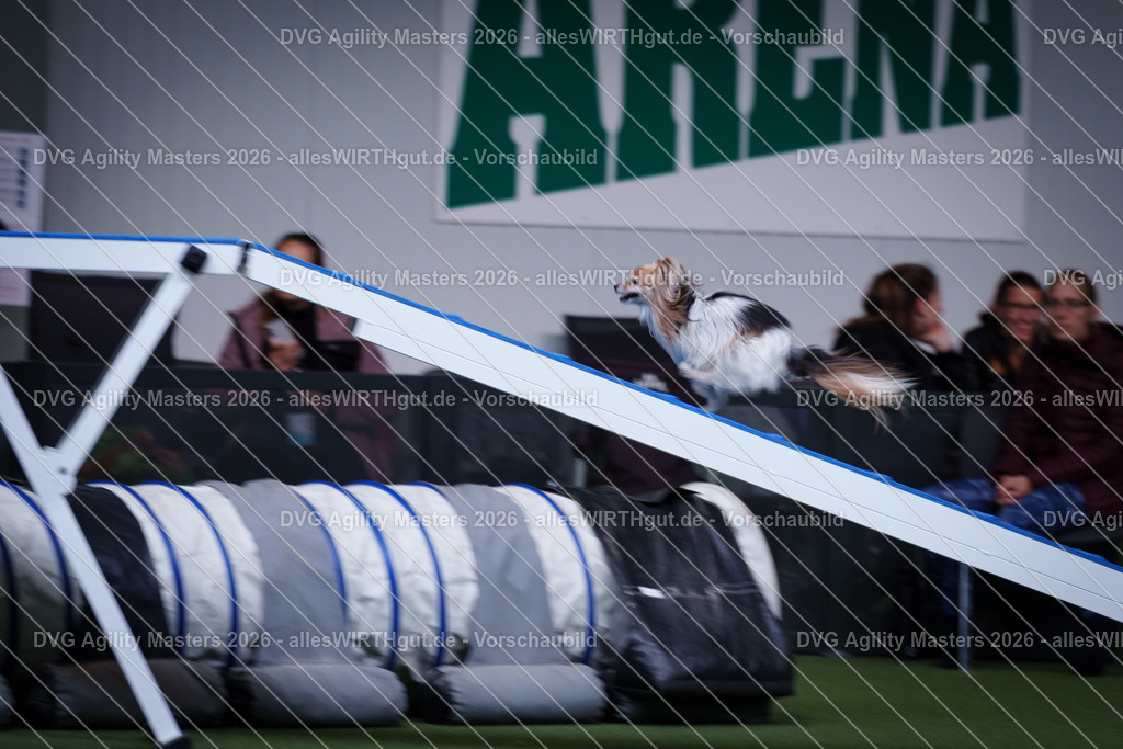 allesWIRTHgut_Tierfotografie-DVG_Agility_Masters_2026-13_46-7R503928 | Professionelle Tierfotografie in Mönchengladbach von Daniel Wirth (allesWIRTHgut). Liebevolle & natürliche Bilder von Hunden & Katzen für unvergessliche Erinnerungen.