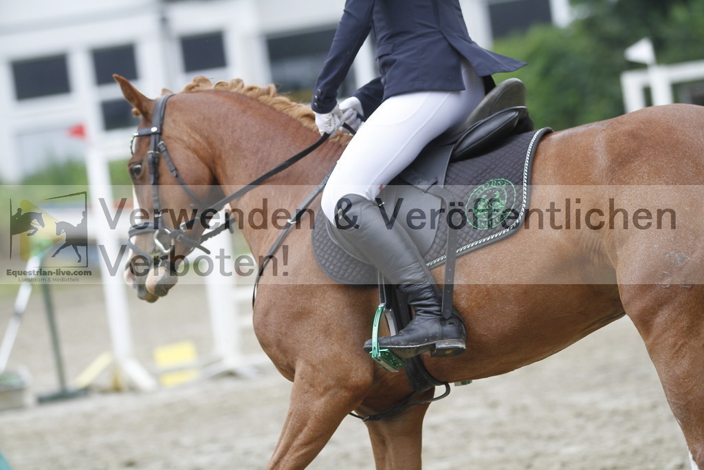 _MG_9731 | equestrian-live-com