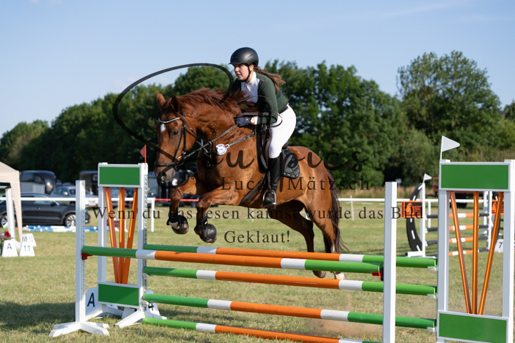 A7V00847 | Pferdefotograf