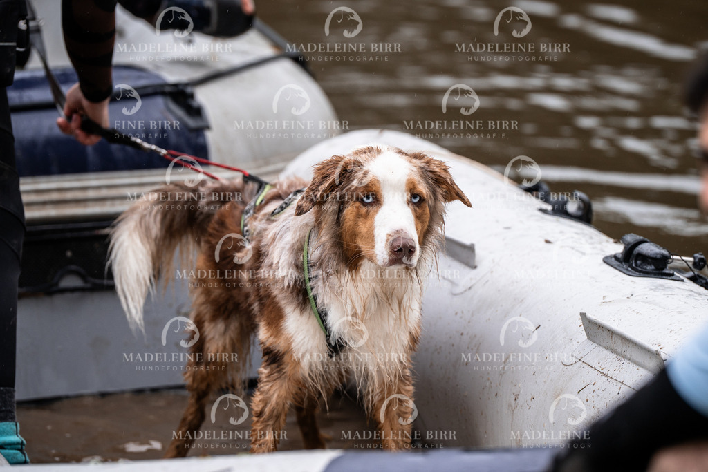 madeleinebirr-fotografie2025.campcanis.9-10Uhr-205 | hundefotografie-birr