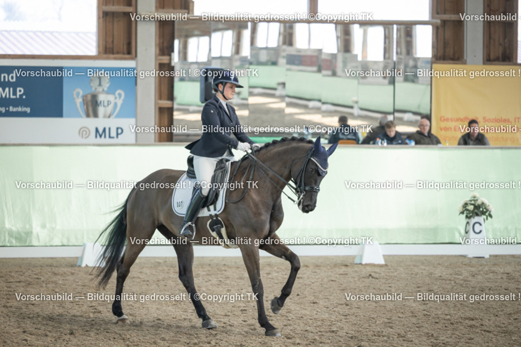 _D5A2850 | Emotionale Pferde- & People-Fotografie rund um Heidelberg, Leimen & Umgebung. Natürliche Fotos von Pferd, Mensch & Familie. Jetzt Termin sichern!