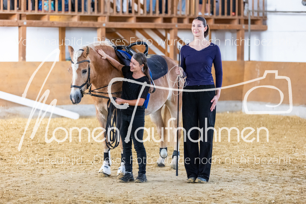 SS-Mini-090 | MomenTaufnahmen Pferdesportfotos
