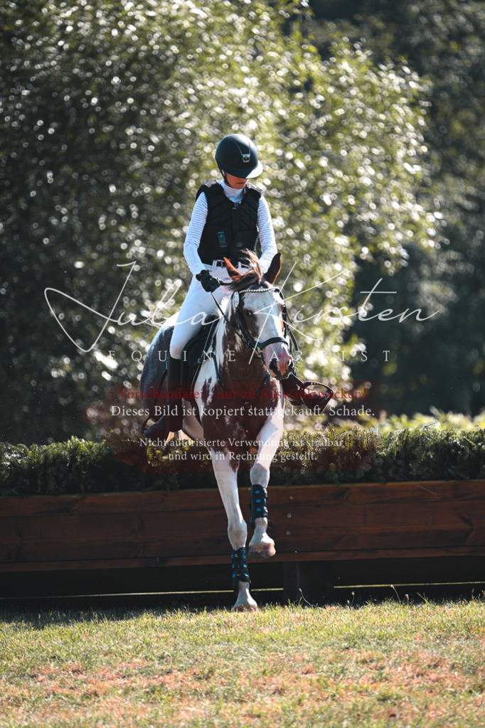 DSC_8099 | Pferde- und Turnierfotografie in Westsachsen. Pferdeportraits, Auftragszeichnungen und intuitive Kunst.