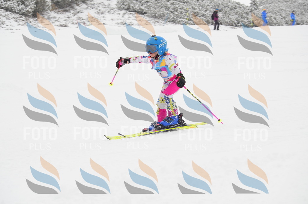 C0554 | holidayphoto