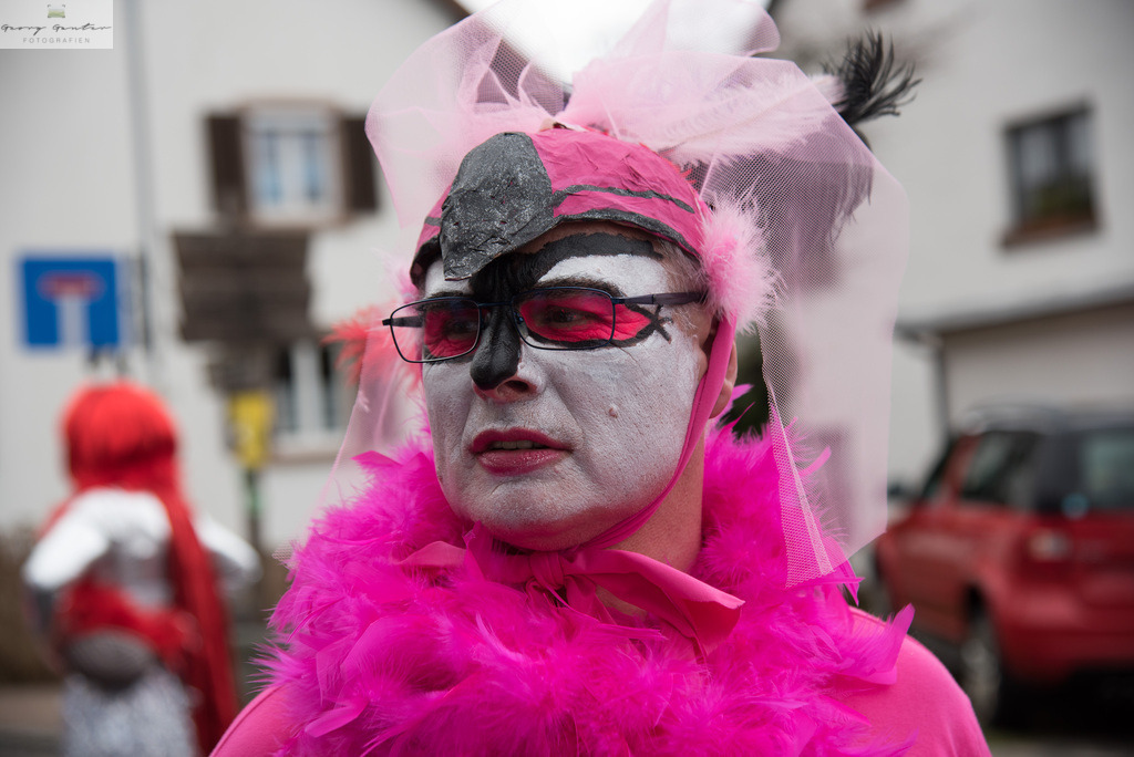 FastSonn_23-080 | Fotoblog Schwarzwald, Foto Blog Wiesental, Pfaffenberg, Winterzauber, Zeller Bergland, Zell im Wiesental, Fotoblog Wiesental, Landschaftsfotos, Bilder Wiesental, Natur, Naturbilder, Fastnacht, Zeller Fastnacht, Zeller Fasnacht, Zeller Bergland, Belchen, - Realisiert mit Pictrs.com