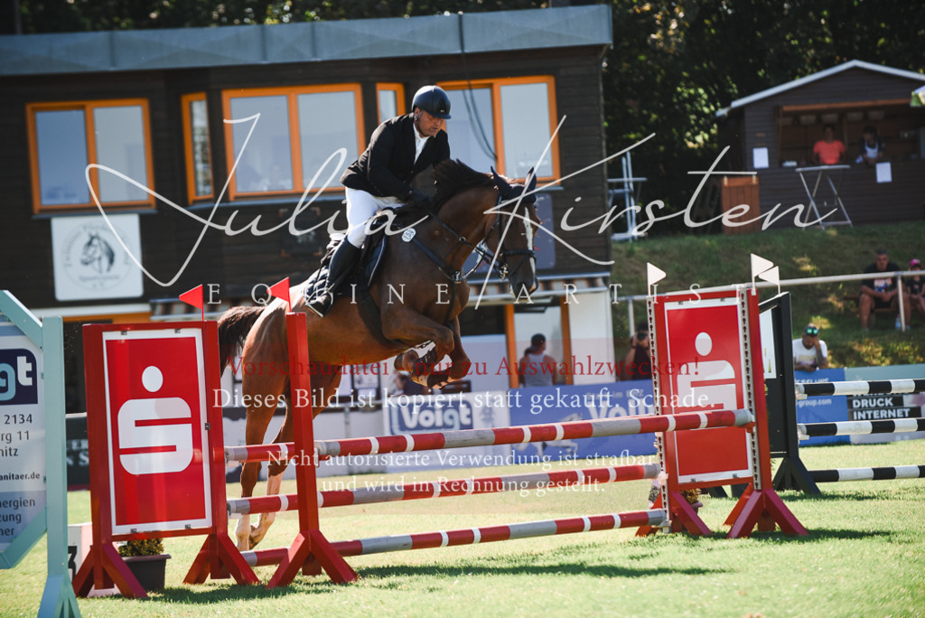 DSC_2481 | Pferde- und Turnierfotografie in Westsachsen. Pferdeportraits, Auftragszeichnungen und intuitive Kunst.