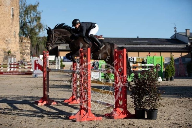 2B4A0772 | pixelfaenger - Realisiert mit Pictrs.com