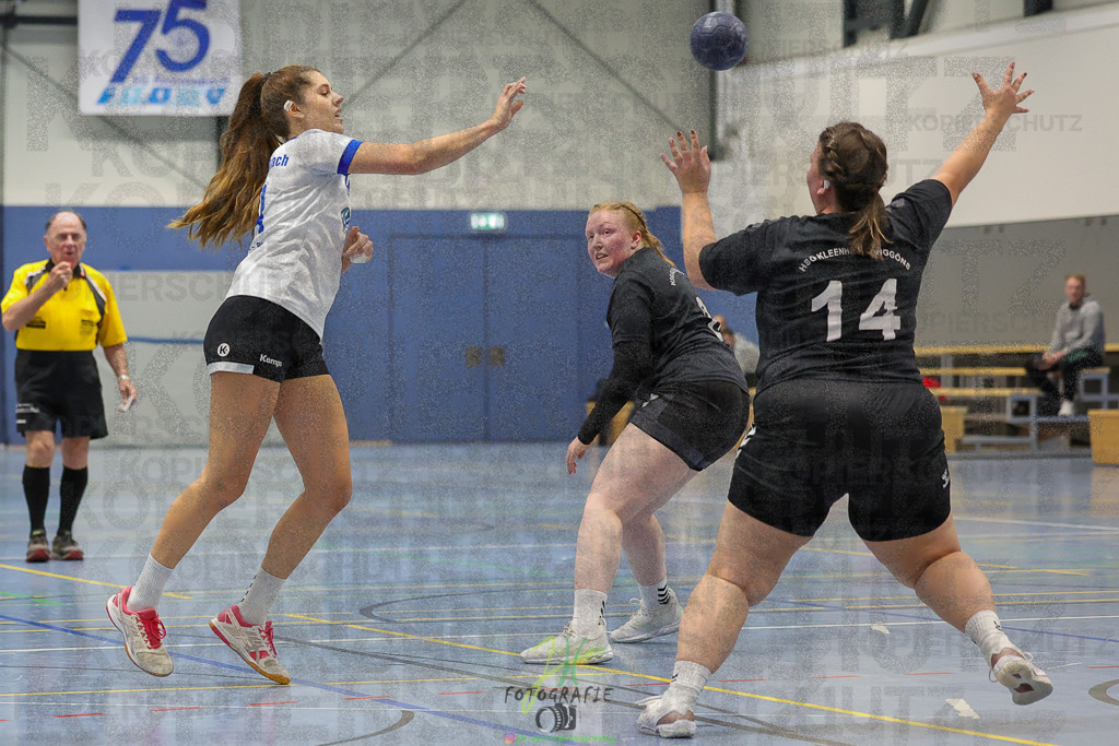 Frauen 2. Bezirksklasse, SG Rechtenbach - HSG Kleenheim/Langgöns III | Frauen 2. Bezirksklasse, SG Rechtenbach - HSG Kleenheim/Langgöns III am 16.11.2024 in Rechtenbach (Sporthalle Rechtenbach)Photo © 2024 - Jörg Heinrich - Realisiert mit Pictrs.com