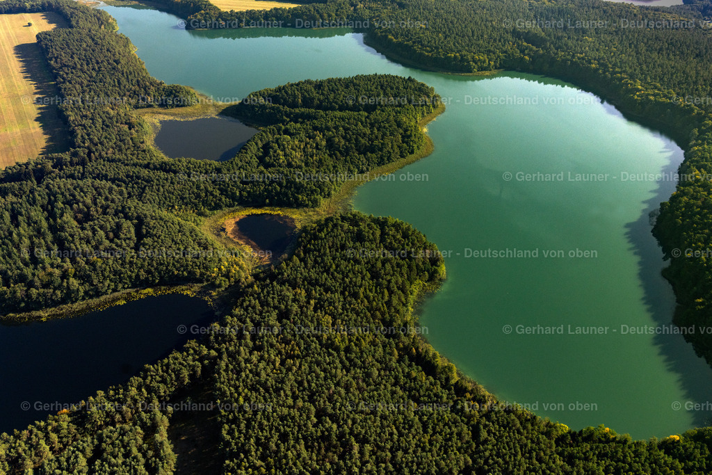 4062353 | FLECKEN ZECHLIN 08.09.2021 Waldgebiete am Ufer des See " Twernsee " in Flecken Zechlin im Bundesland Brandenburg, Deutschland. // Forests on the shores of Lake " Twernsee " in Flecken Zechlin in the state Brandenburg, Germany. Foto: Gerhard Launer