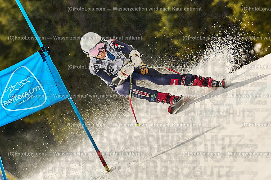 _WWO3633_MASTERS-WM_Reiteralm_CD-SG_Ortner Helena_ORTNER Helena | FISWORLD CHAMPIONSHIPSMASTERS ALPINE SKIING, 23. – 28. MÄRZ 2026 - REITERALM | STMK | AUT.   Veranstaltet vom Masters-Referat des Deutschen Skiverbandes (DSV). Durchführende Organisation: WSV Pichl-Reiteralm, unterstütutzt von den Bergbahnen REITERALM bei Schladming und SKI AUSTRIA.                            Disziplinen:  Super-G, GiantSlalom, Slalom.                                                 Kategorien:  A (Herrn 30-59 Jahre), B (Herrn ab 60 Jahre), C (Damen 30-59 Jahre), D (Damen ab 60 Jahre).                Rennstrecken:   Gasselhöhe und Muldenliftpiste auf der Reiteralm.