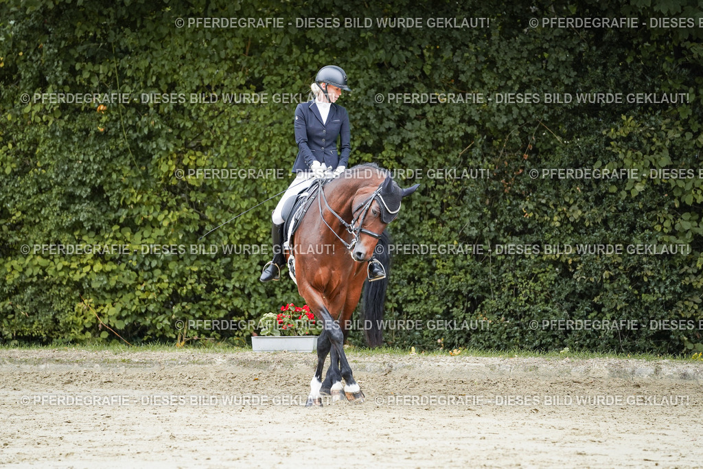 DSC09268 | Pferdegrafie