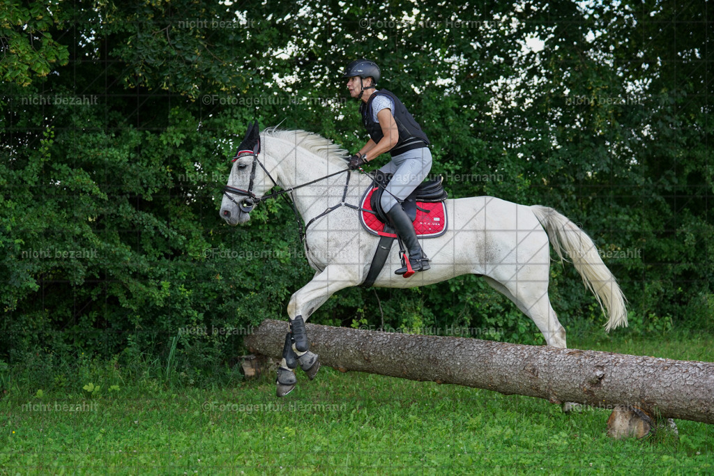 20240622-FAH07697 | Turnierfotografen Bayern, Reitsportbilder aus dem Geländekurs mit Felix Etzel auf dem Gut Waitzacker 2024