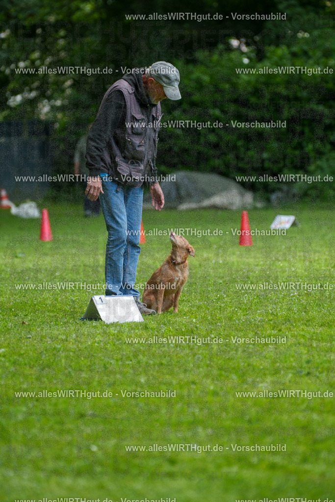 @allesWIRTHgut_Tierfotografie - www.allesWIRTHgut.de - 7R504129 | Professionelle Tierfotografie in Mönchengladbach von Daniel Wirth (allesWIRTHgut). Liebevolle & natürliche Bilder von Hunden & Katzen für unvergessliche Erinnerungen.