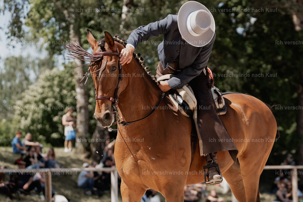 WE_ST_Stoib_313_PI2025_1303 | Pferd International München 2025