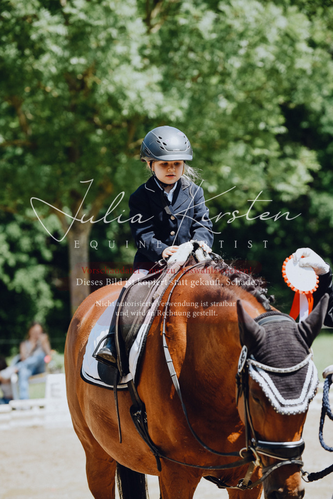 DSC_2659 | Pferde- und Turnierfotografie in Westsachsen. Pferdeportraits, Auftragszeichnungen und intuitive Kunst.