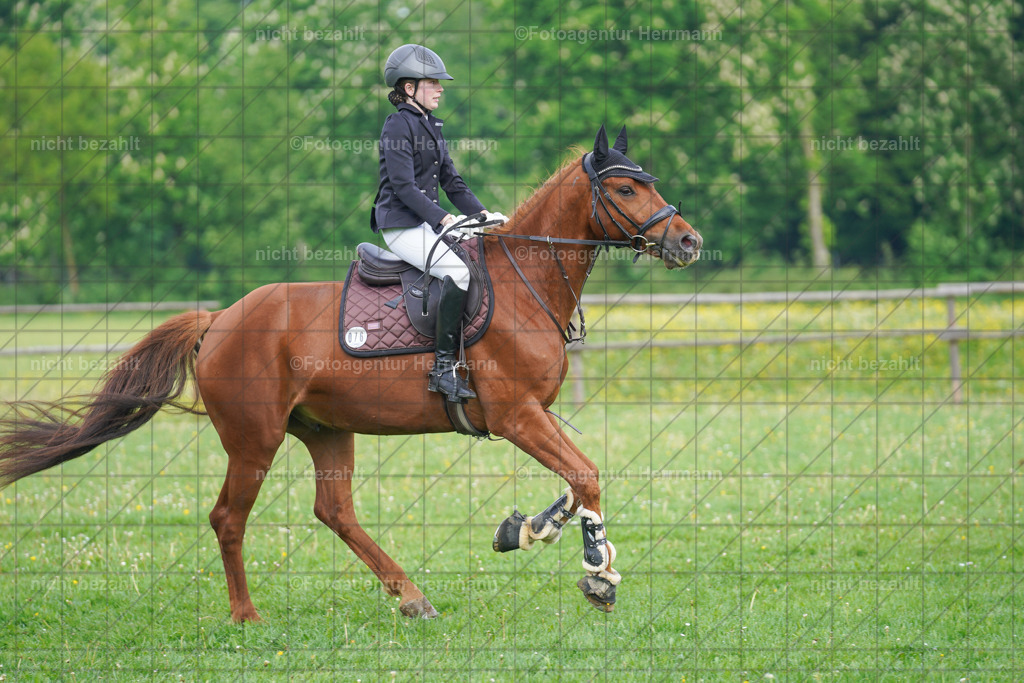 20240509-FAH02184 | Turnierbilder der Turnierfotografen Bayern, Pferdesport Fotografie, Reitsportbilder, Turnier Landberg am Lech, Turnierbilder bayern, Fotoagentur Herrmann