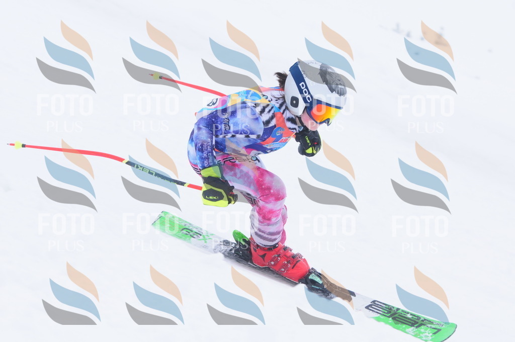 C2444 | holidayphoto