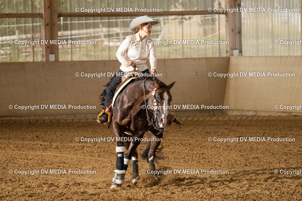 LAU01542 | dv-media-shop - Realisiert mit Pictrs.com