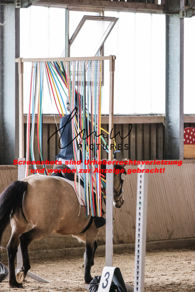 IMG_1627 | lmwpictures - Realisiert mit Pictrs.com