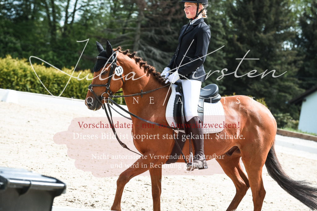20230518_JK-Röhrsdorf-11-0593 | Pferde- und Turnierfotografie in Westsachsen. Pferdeportraits, Auftragszeichnungen und intuitive Kunst.