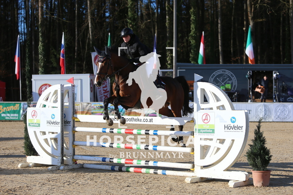 DL2Q3332 | Willkommen bei Brunnmayr - Design & Fotografie – Ihrem Spezialisten für Reitturniere und Pferdeveranstaltungen in Oberösterreich, Salzburg und Bayern! Seit über 17 Jahren sind wir leidenschaftlich dabei.