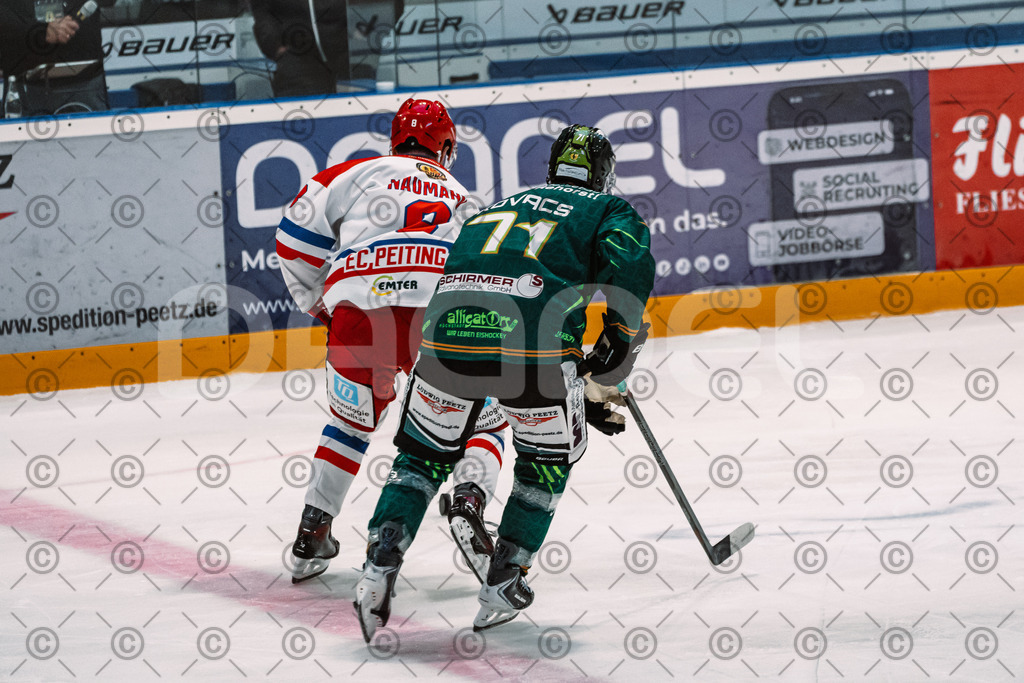Alligators_vs_Peiting_04_10_2026-20 | Die Fotogalerie von Daddel: professionelle Bilder von Sport, Events und Unternehmen aus Franken. Jetzt Galerien durchstöbern und Lieblingsfotos bestellen. - Realisiert mit Pictrs.com