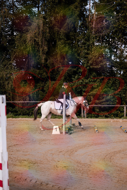 2026_10_03_Siefer-Hof_144155_Z81_14213498 | Professionelle Reitsport-, Turnier- und Eventfotografie von Robert Broda. Galerien mit ausgewählten und bearbeiteten Bildern direkt online ansehen und bestellen.