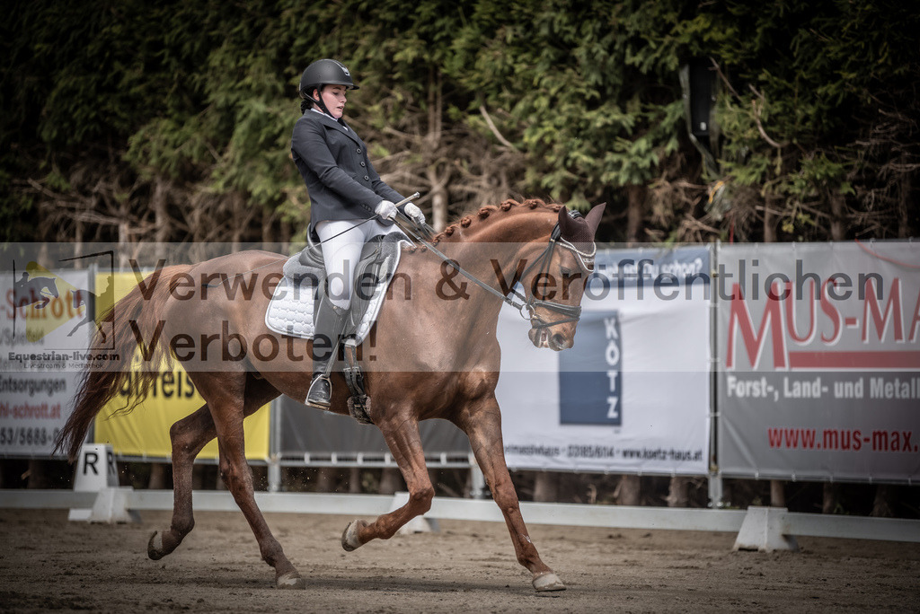 DSC_2861 | equestrian-live-com