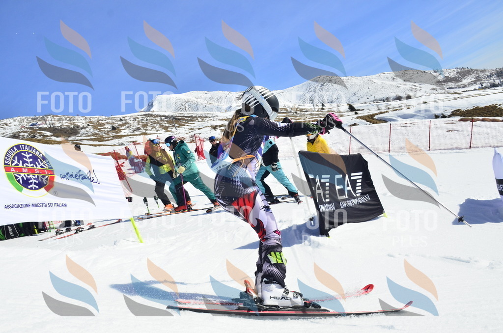 _ELE0334 | holidayphoto