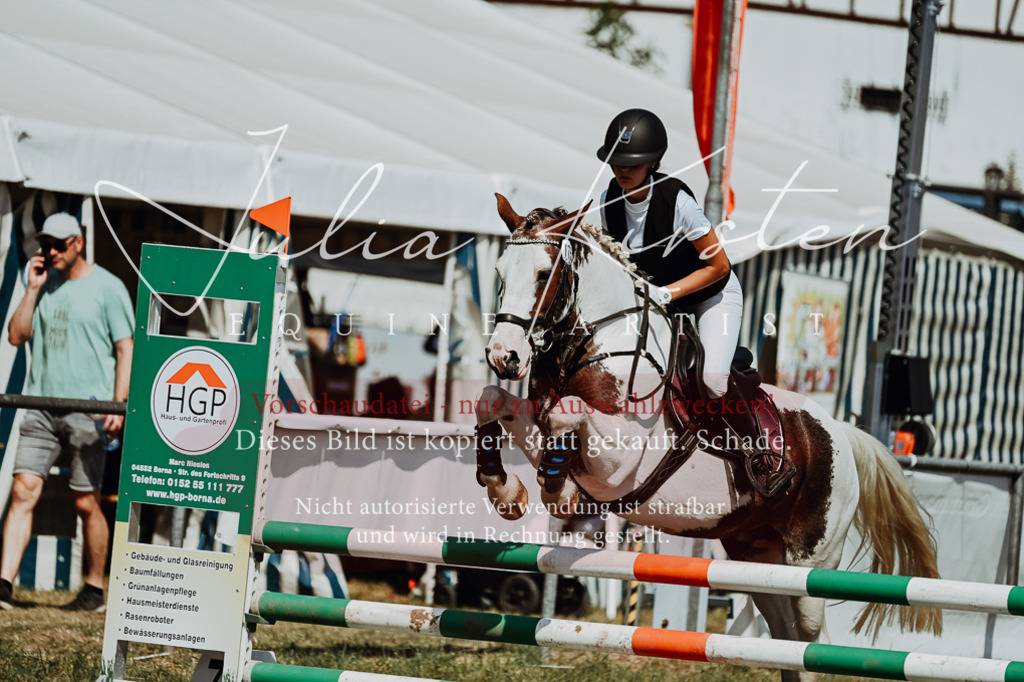 DSC_9823 | Pferde- und Turnierfotografie in Westsachsen. Pferdeportraits, Auftragszeichnungen und intuitive Kunst.
