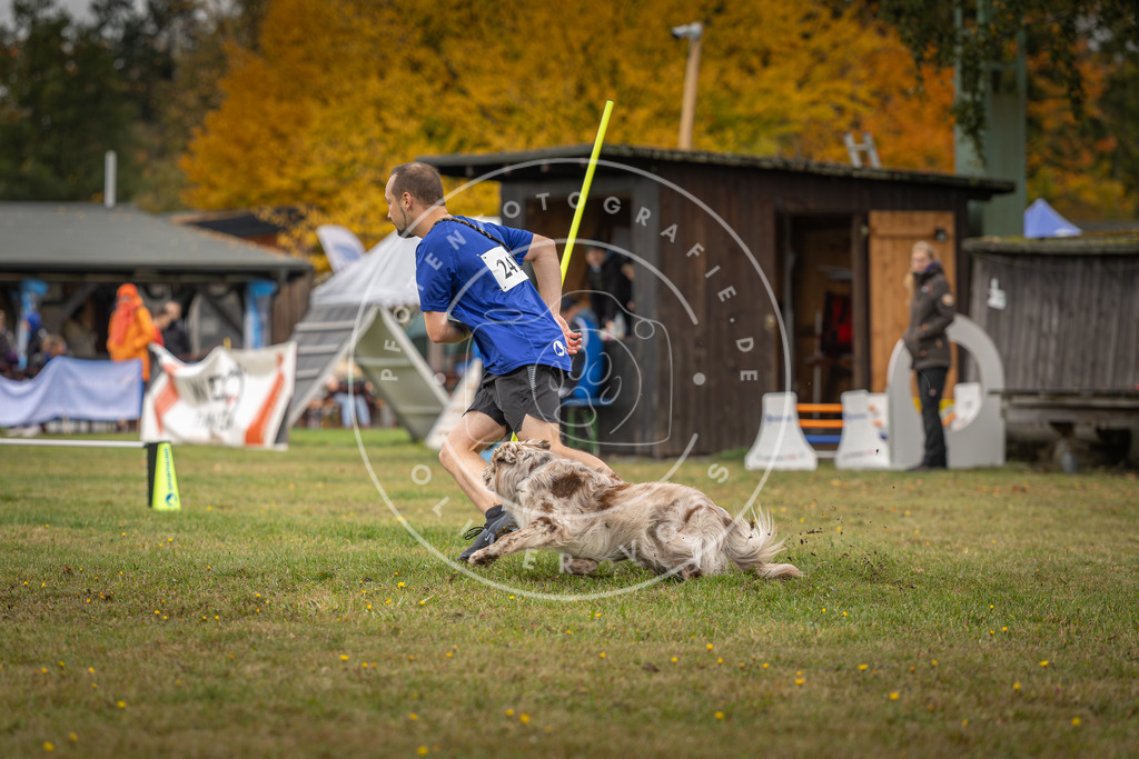 Pfotenfotografie_DV3A5039 | Hundefotografie, Tierfotograf, Pfotenfotografie, Fotoshooting Hund, Hunde Portrait, Hundesport, Hundeportraits, Heideshooting, Hunde, Sportfotograf, Hundefotograf, Turnierhundsport, THS,  - Realisiert mit Pictrs.com
