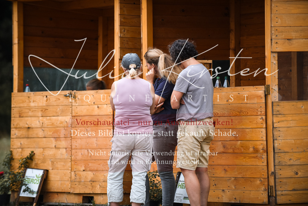 DSC_6336 | Pferde- und Turnierfotografie in Westsachsen. Pferdeportraits, Auftragszeichnungen und intuitive Kunst.