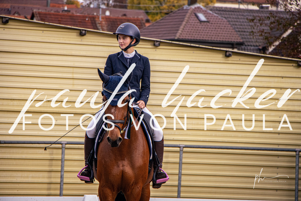 IMG_7025 | Erleben Sie dynamische Sport- und emotionale Tierfotografie in Süddeutschland mit Fotos von Paula. Spezialisiert auf Pferde- und Hundefotografie sowie Sportevents. Kontaktieren Sie mich für einzigartige und ausdrucksstarke Bilder Ihrer besonderen Momente. - Realisiert mit Pictrs.com