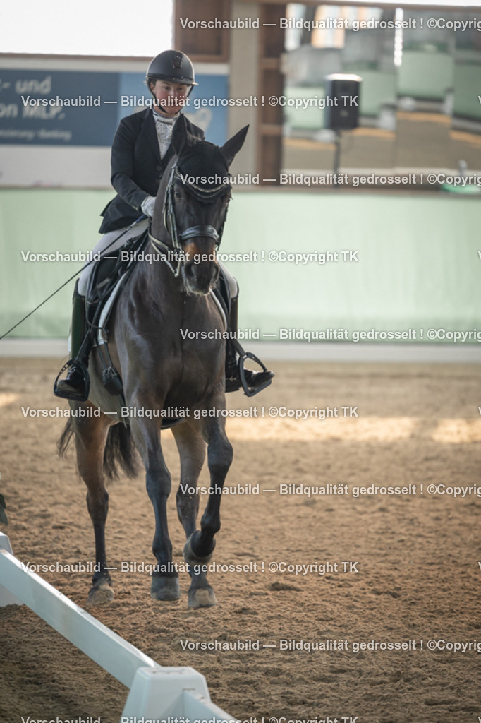 _D5A4087 | Emotionale Pferde- & People-Fotografie rund um Heidelberg, Leimen & Umgebung. Natürliche Fotos von Pferd, Mensch & Familie. Jetzt Termin sichern!