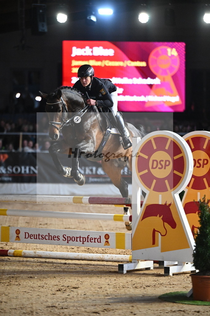 Jack Blue_2241607 | hf-fotografie - Realisiert mit Pictrs.com