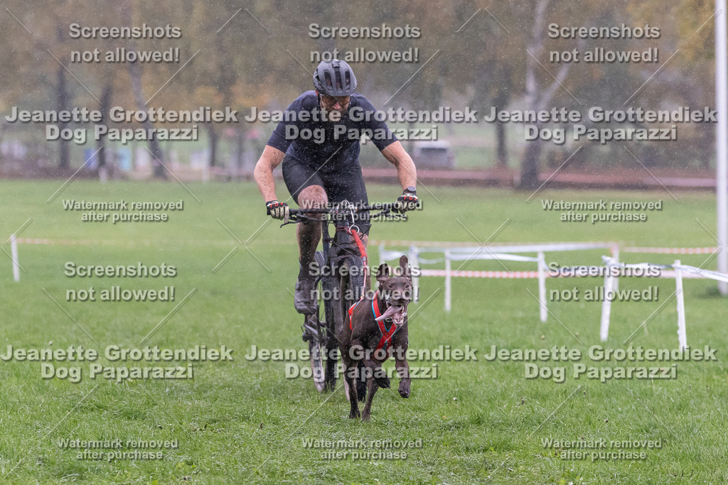 Dog Paparazzi - SD CaniX Championship 2025-917 | Dog Paparazzi Jeanette Grottendiek Fotografie & Videografie - Realisiert mit Pictrs.com