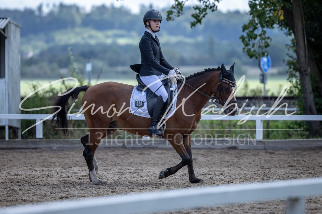 20260905-_3LI8369 | Tierfotografie Pferde, Hunde, Katzen, Haustiere.
Turnierfotografie Reitturniere, Reiten, Springreiten, Dressur in Hanau, dem Main-Kinzig-Kreis und dem Rhein-Main- Gebiet um Frankfurt