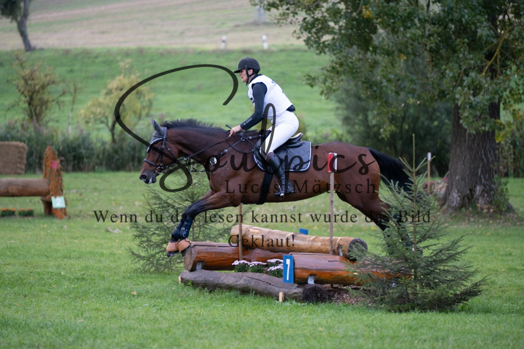 A7V02950 | Pferdefotograf